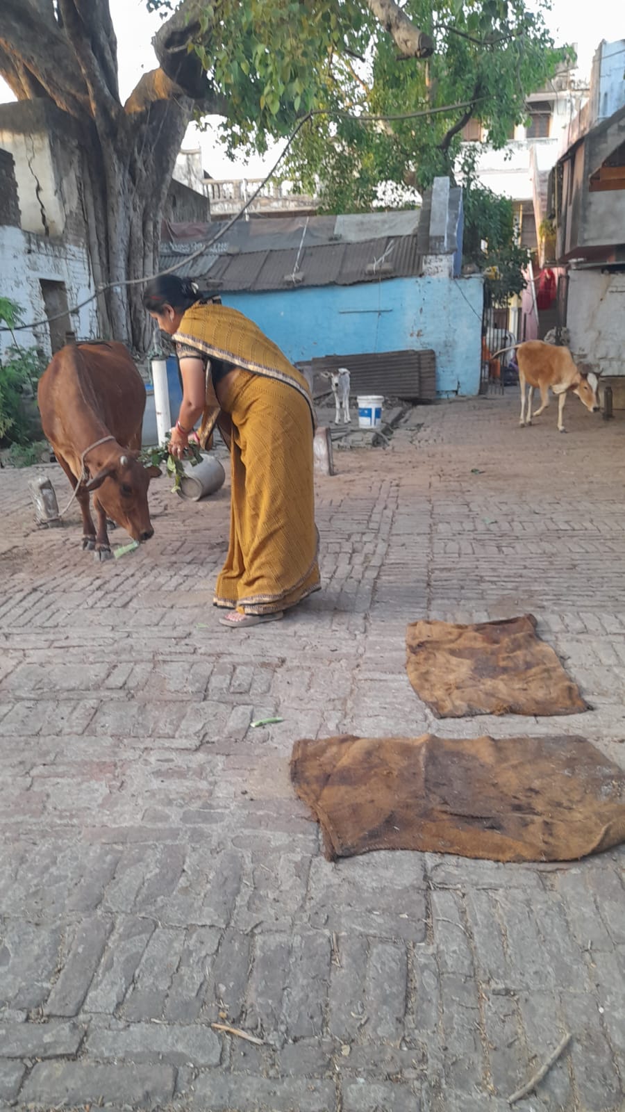 Distribution Drive Engagement