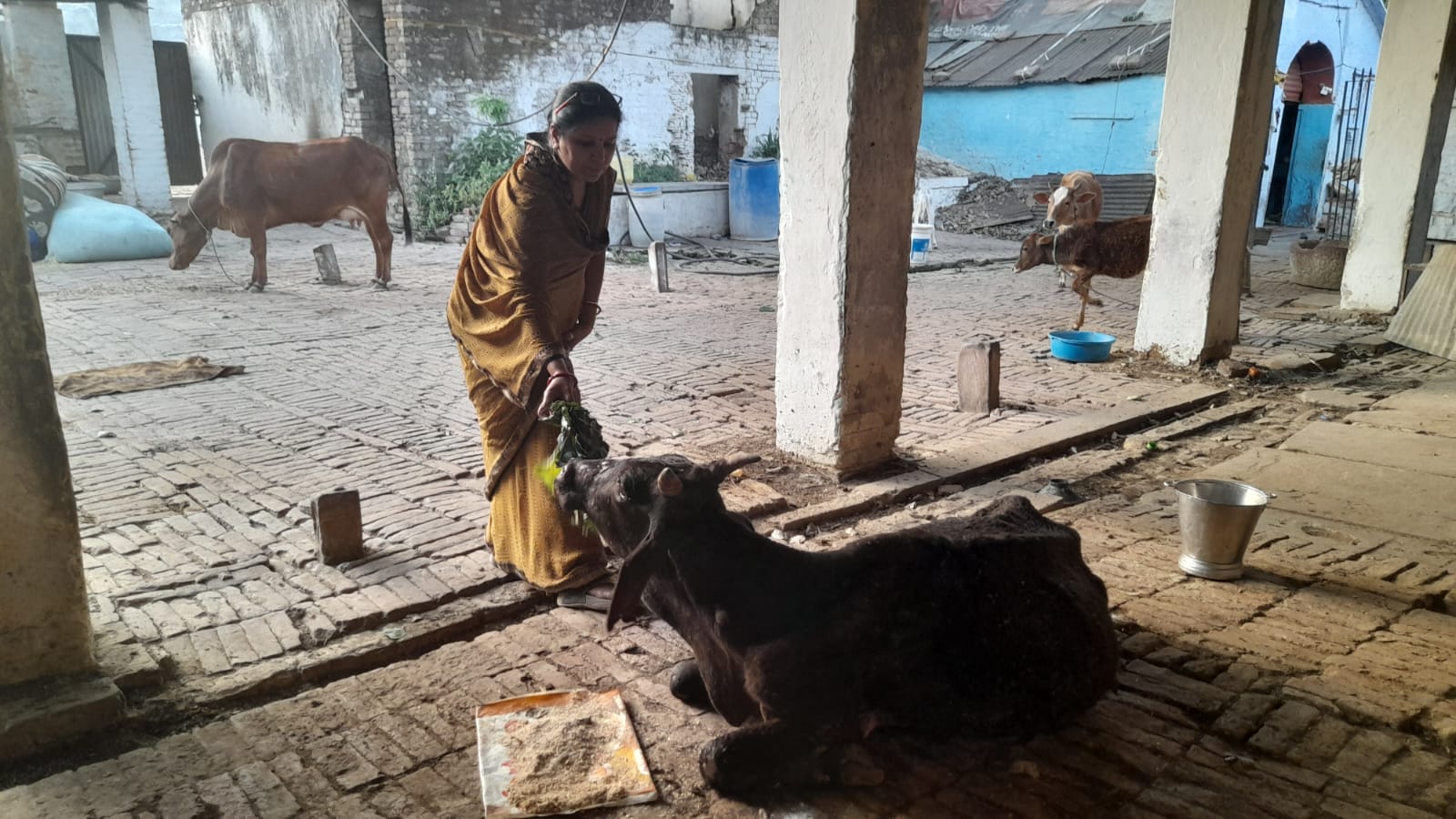 Distribution Drive Engagement